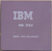 IBM DX4-100 4V31100GIC