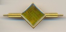 Pin Intel Pentium 60 die